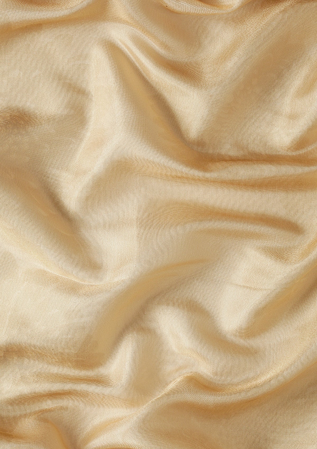 Pastel Yellow Bold Floral Organza Saree