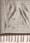 Slate Grey Jaal Woven Tussar Saree - Taashi