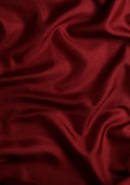 Maroon Temple Border Printed Tussar Saree - Taashi