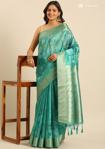Mint Green Organza Contemporary Printed Saree