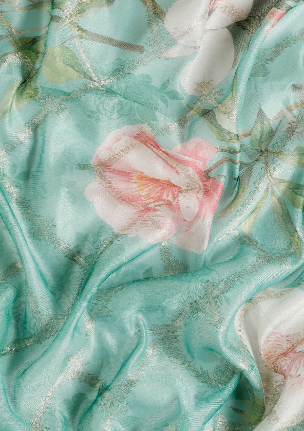 Oganza Saree