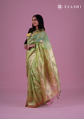 Blossom Organza Digital Printed Saree - Taashi