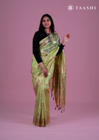 Pastel Green Organza Contemporary Woven Saree
