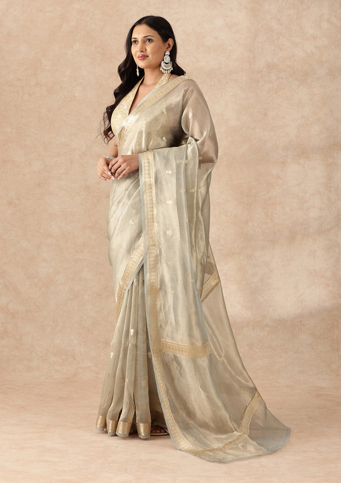Pastel Blue Pure Tissue Woven Saree