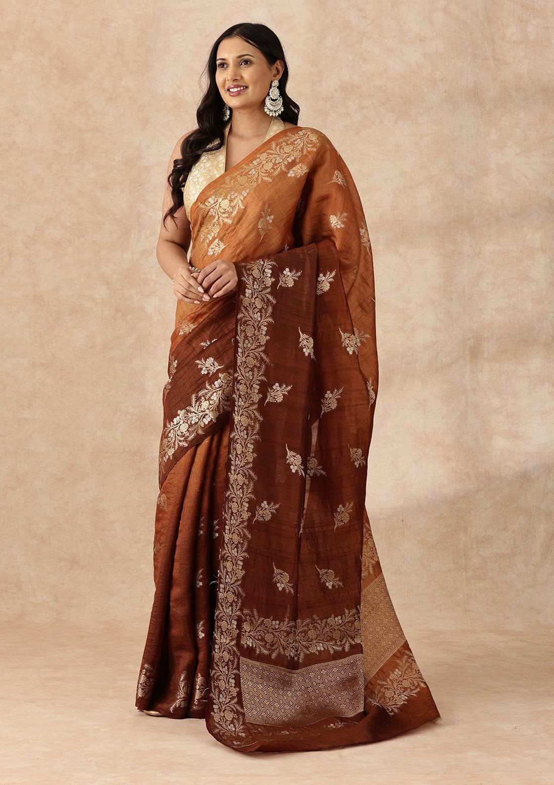 Ombre Brown Pure Tussar Contemporary Woven Saree