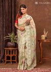 Pastel Dusty Green Tissue Printed Embroidered Saree